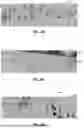 Fig. 09 - TECHNIQUES FOR UNIFIED PHYSICS-BASED CHARACTER CONTROL THROUGH MASKED MOTION INPAINTING