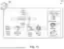 Fig. 18 - RAY TRACING VOLUMETRIC PARTICLES FOR REAL-TIME NOVEL VIEW SYNTHESIS