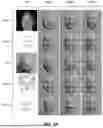 Fig. 06 - TRAINING FOR MULTIMODAL CONDITIONAL 3D SHAPE GEOMETRY GENERATION