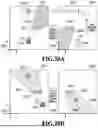 Fig. 21 - IMAGE PROCESSING APPARATUS, IMAGE PROCESSING METHOD, AND STORAGE MEDIUM