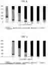 Fig. 08 - METHOD FOR CREATING PREDICTION MODEL FOR CORROSION OF METALS AND METHOD FOR PREDICTING METAL CORROSION
