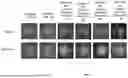 Fig. 07 - PROTOTYPE-BASED TASK INDEPENDENT INTERPRETABLE MODEL