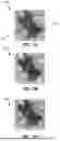 Fig. 07 - METHOD AND SYSTEM FOR CONSTRUCTING A DIGITAL COLOR IMAGE DEPICTING A SAMPLE