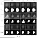 Fig. 08 - LANDSLIDE IDENTIFICATION METHOD, DEVICE, AND STORAGE MEDIUM BASED ON MULTI-PATH FEATURE FUSION