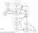 Fig. 59 - METHODS AND SYSTEMS OF COMBINING VIDEO CONTENT WITH ONE OR MORE AUGMENTATIONS TO PRODUCE AUGMENTED VIDEO
