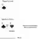 Fig. 26 - GAMING TABLE TOKEN SENSING APPARATUS AND RELATED SYSTEMS AND METHODS