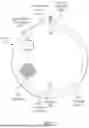 Fig. 03 - ACTIVE DETERRENT PLATFORM
