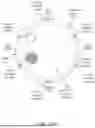 Fig. 17 - ACTIVE DETERRENT PLATFORM