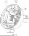Fig. 21 - ACTIVE DETERRENT PLATFORM