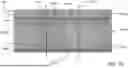 Fig. 25 - ACOUSTIC PANELS AND WALL COVERING SYSTEMS