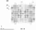 Fig. 20 - SEMICONDUCTOR DEVICE