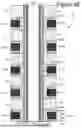 Fig. 12 - NON-VOLATILE MEMORY WITH GROUPED BIT LINES FOR SENSING