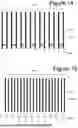 Fig. 19 - NON-VOLATILE MEMORY WITH GROUPED BIT LINES FOR SENSING