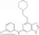 Fig. 13 - STRUCTURE-BASED DRUG DESIGN FOR PROTEIN BINDING
