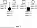 Fig. 04 - METHODS AND SYSTEMS FOR DIAGNOSING FROM WHOLE GENOME SEQUENCING DATA