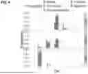 Fig. 05 - METHODS AND SYSTEMS FOR DIAGNOSING FROM WHOLE GENOME SEQUENCING DATA