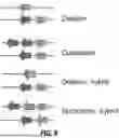 Fig. 07 - METHODS AND SYSTEMS FOR DIAGNOSING FROM WHOLE GENOME SEQUENCING DATA