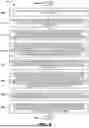 Fig. 10 - METHODS AND SYSTEMS FOR DIAGNOSING FROM WHOLE GENOME SEQUENCING DATA