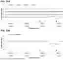 Fig. 13 - METHODS AND SYSTEMS FOR DIAGNOSING FROM WHOLE GENOME SEQUENCING DATA