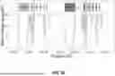 Fig. 24 - METHODS AND SYSTEMS FOR DIAGNOSING FROM WHOLE GENOME SEQUENCING DATA