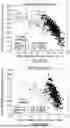 Fig. 21 - GENOME WIDE TUMOR DERIVED GENE EXPRESSION BASED SIGNATURES ASSOCIATED WITH POOR PROGNOSIS FOR MELANOMA PATIENTS WITH EARLY STAGE DISEASE