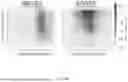 Fig. 42 - MACHINE-LEARNING BASED DESIGN OF ENGINEERED GUIDE SYSTEMS FOR ADENOSINE DEAMINASE ACTING ON RNA EDITING