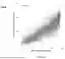 Fig. 51 - MACHINE-LEARNING BASED DESIGN OF ENGINEERED GUIDE SYSTEMS FOR ADENOSINE DEAMINASE ACTING ON RNA EDITING