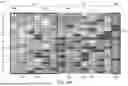 Fig. 08 - Toxicity Prediction Of Compounds In Cellular Structures
