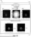 Fig. 16 - Toxicity Prediction Of Compounds In Cellular Structures