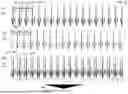 Fig. 28 - METHOD FOR SELECTING HIGH-QUALITY DATA FROM BIOLOGICAL SIGNALS FROM DIFFERENT MONITORING DEVICES