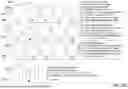 Fig. 46 - METHODS AND SYSTEMS THAT PROVIDE PERSONALIZED MEDICAL TREATMENTS BY DEFORMING GENERIC EFFICACY-ESTIMATION FUNCTIONS