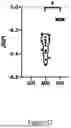 Fig. 13 - METHOD AND SYSTEM FOR PREDICTING THE MEDICATION FOR AUTOIMMUNE DISEASE
