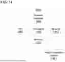 Fig. 15 - VIRTUAL TESTING OF HARDWARE AND SOFTWARE FEATURES FOR MEDICAL IMAGE ACQUISITION DEVICES