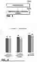 Fig. 03 - METHOD AND APPARATUS PREDICTING OBSTRUCTIVE SLEEP APNEA