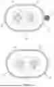 Fig. 03 - Cable and Cable Assembly