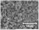 Fig. 01 - SmFeN-BASED ANISOTROPIC MAGNETIC POWDER AND COMPOSITE MATERIAL
