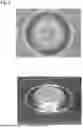 Fig. 09 - RIVET CONTACT, ELECTRIC CONTACT, AND PRODUCTION METHOD OF ELECTRIC CONTACT