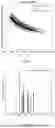 Fig. 04 - DATA DEPENDENT ACQUISITION (DDA) MASS SPECTROMETRY