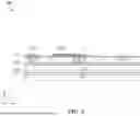 Fig. 06 - Passive Device Structure