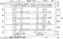 Fig. 01 - SEMICONDUCTOR STRUCTURE