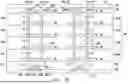 Fig. 08 - SEMICONDUCTOR STRUCTURE