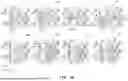 Fig. 05 - INTEGRATED CIRCUIT DEVICE AND METHOD