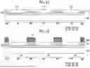 Fig. 12 - DISPLAY DEVICE AND METHOD OF FABRICATING THE SAME