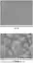 Fig. 08 - Electrode for Electrochemical Energy Storage Devices