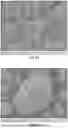 Fig. 09 - Electrode for Electrochemical Energy Storage Devices