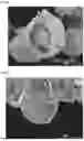Fig. 06 - PARTICLES, POSITIVE ELECTRODE ACTIVE MATERIAL PARTICLES, METHOD OF PRODUCING THE SAME, AND NON-AQUEOUS ELECTROLYTE SECONDARY BATTERY