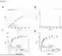 Fig. 18 - APPLICATIONS OF O2-INSENSITIVE FORMATE DEHYDROGENASE