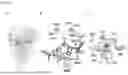 Fig. 54 - APPLICATIONS OF O2-INSENSITIVE FORMATE DEHYDROGENASE