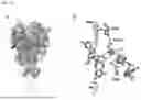 Fig. 65 - APPLICATIONS OF O2-INSENSITIVE FORMATE DEHYDROGENASE