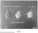 Fig. 09 - GEL ELECTROLYTES FOR ELECTROCHEMICAL DEVICES, FABRICATING METHODS AND APPLICATIONS OF SAME